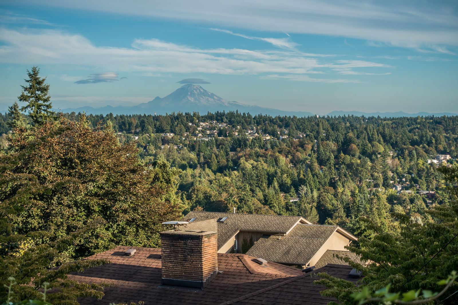 Fast, simple, and stress-free moves for families and businesses across Kent, WA